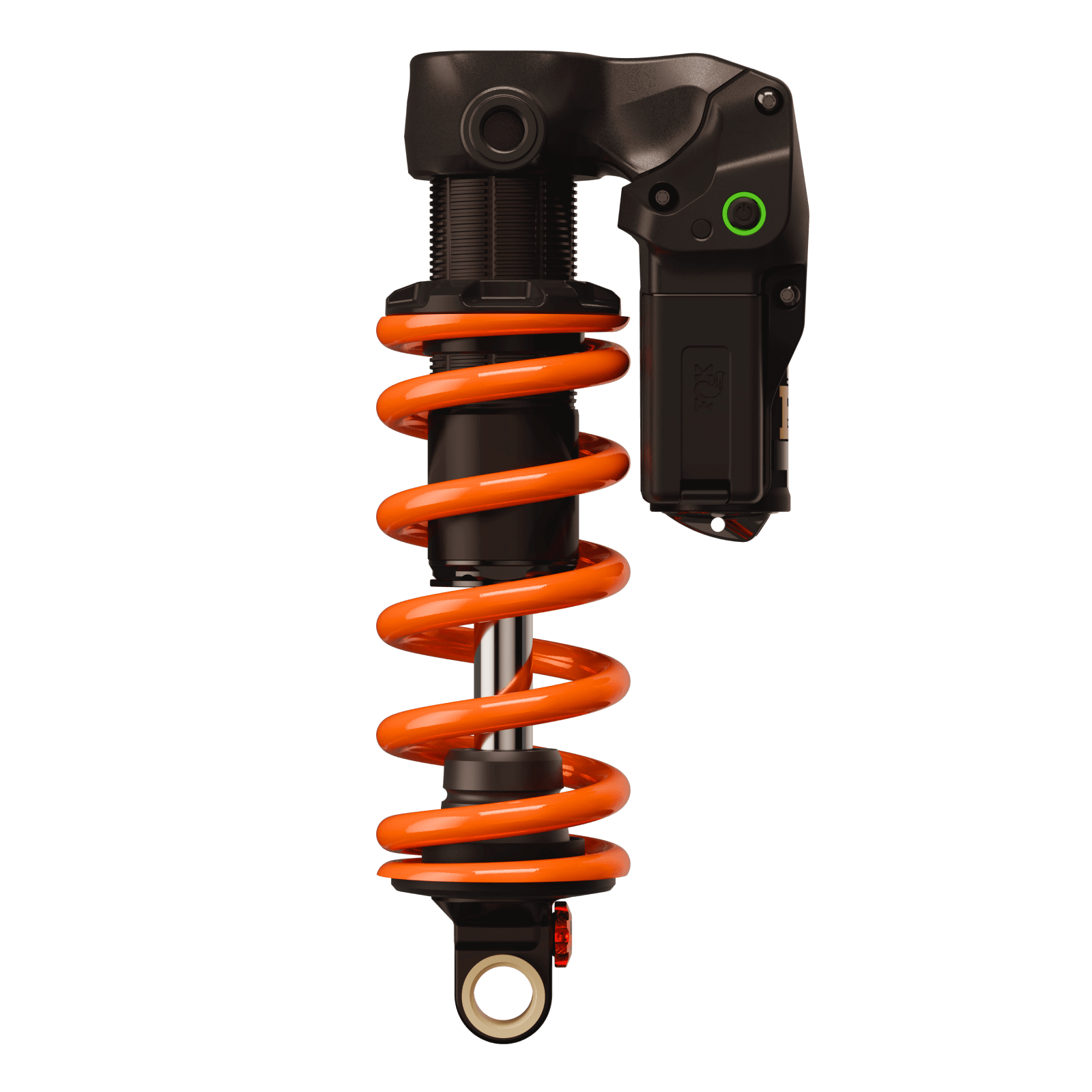 DHXLVNEO_1600x1600_2.png?v=