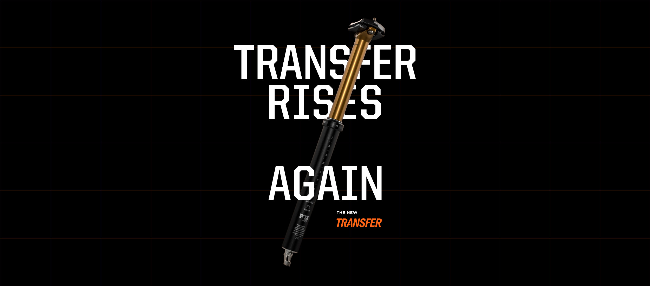 Transfer Rises Again