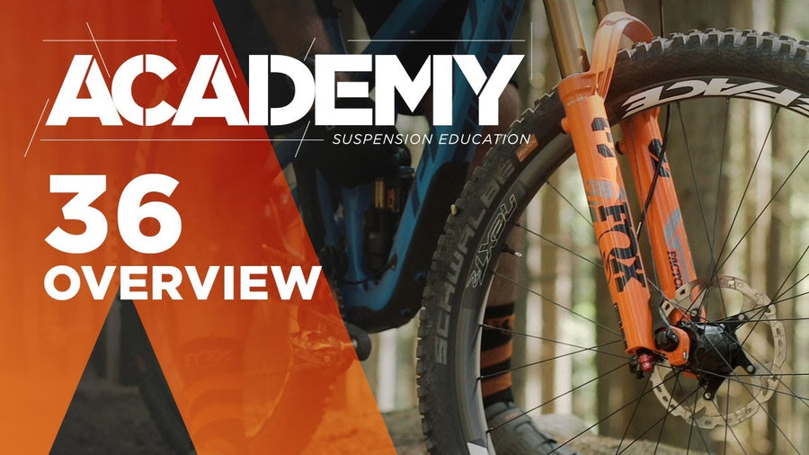 FOX Academy: 36 Overview