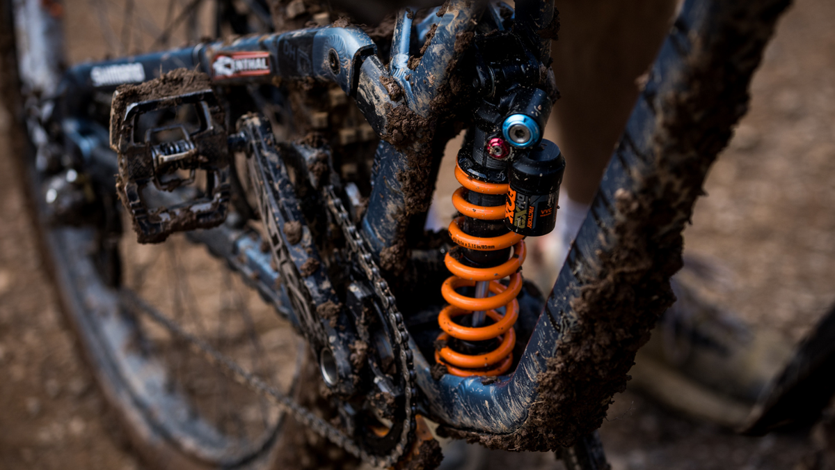 Coil Springs – FOX